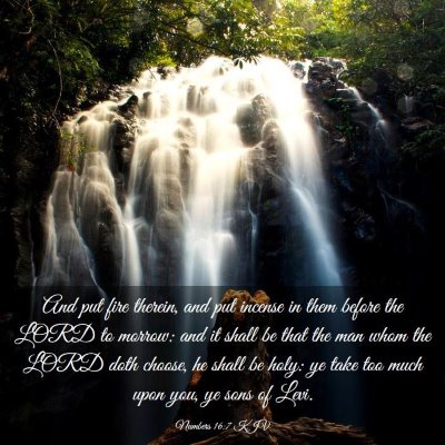 Picture 03 - Numbers 16:7 KJV - And put fire therein, and put incense in them - Bible Verse Picture