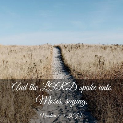 Picture 03 - Numbers 17:1 KJV - And the LORD spake unto Moses, - Bible Verse Picture
