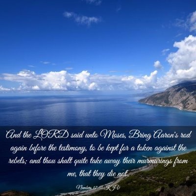 Picture 03 - Numbers 17:10 KJV - And the LORD said unto Moses, Bring Aaron's rod - Bible Verse Picture