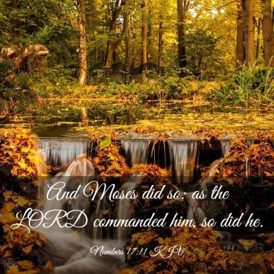 Picture 03 - Numbers 17:11 KJV - And Moses did so: as the LORD commanded him, so - Bible Verse Picture