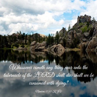 Picture 03 - Numbers 17:13 KJV - Whosoever cometh any thing near unto the - Bible Verse Picture