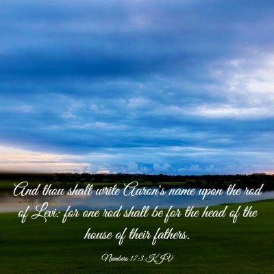 Picture 03 - Numbers 17:3 KJV - And thou shalt write Aaron's name upon the rod of - Bible Verse Picture