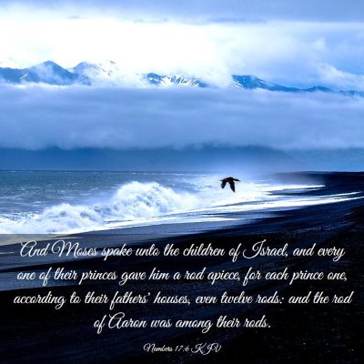 Picture 03 - Numbers 17:6 KJV - And Moses spake unto the children of Israel, and - Bible Verse Picture