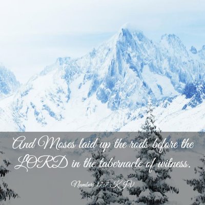 Picture 03 - Numbers 17:7 KJV - And Moses laid up the rods before the LORD in the - Bible Verse Picture