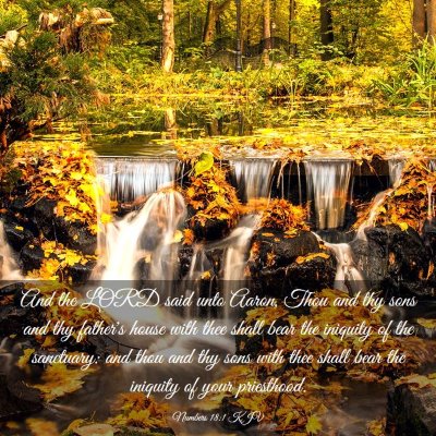 Picture 03 - Numbers 18:1 KJV - And the LORD said unto Aaron, Thou and thy sons - Bible Verse Picture