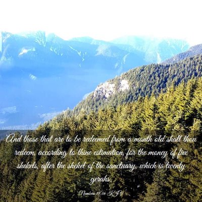 Picture 03 - Numbers 18:16 KJV - And those that are to be redeemed from a month - Bible Verse Picture