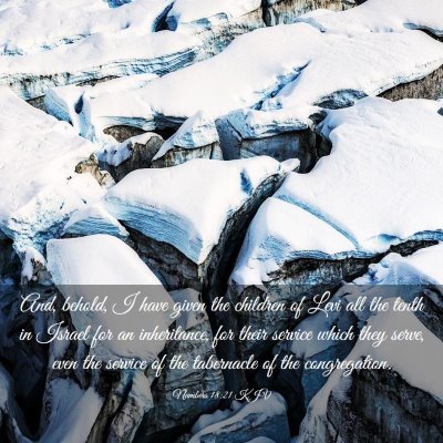 Picture 03 - Numbers 18:21 KJV - And, behold, I have given the children of Levi - Bible Verse Picture