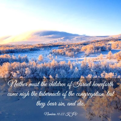 Picture 03 - Numbers 18:22 KJV - Neither must the children of Israel henceforth - Bible Verse Picture