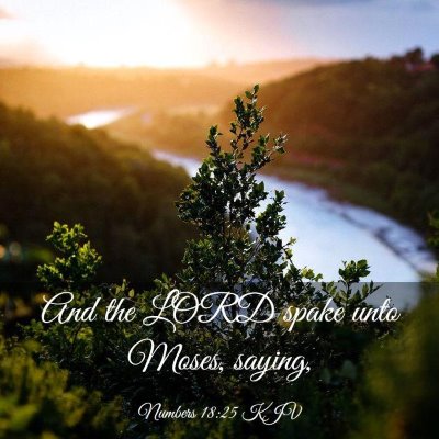 Picture 03 - Numbers 18:25 KJV - And the LORD spake unto Moses, - Bible Verse Picture