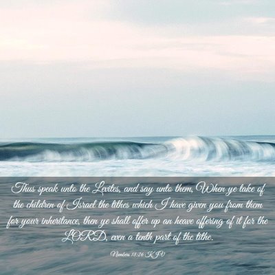 Picture 03 - Numbers 18:26 KJV - Thus speak unto the Levites, and say unto them, - Bible Verse Picture