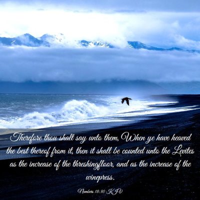 Picture 03 - Numbers 18:30 KJV - Therefore thou shalt say unto them, When ye have - Bible Verse Picture