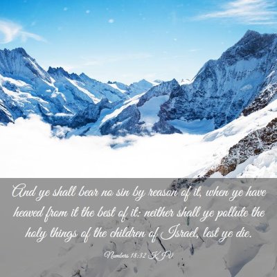 Picture 03 - Numbers 18:32 KJV - And ye shall bear no sin by reason of it, when ye - Bible Verse Picture
