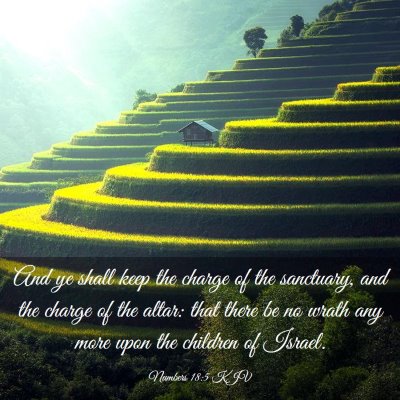 Picture 03 - Numbers 18:5 KJV - And ye shall keep the charge of the sanctuary, - Bible Verse Picture