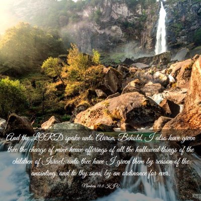 Picture 03 - Numbers 18:8 KJV - And the LORD spake unto Aaron, Behold, I also - Bible Verse Picture