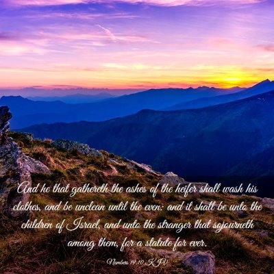 Picture 03 - Numbers 19:10 KJV - And he that gathereth the ashes of the heifer - Bible Verse Picture