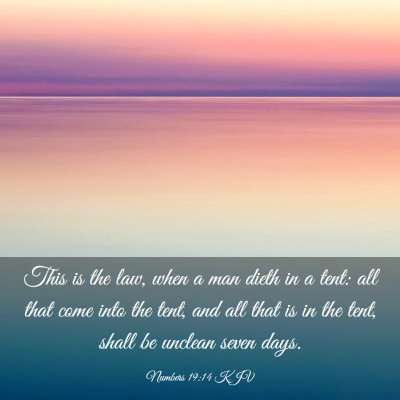 Picture 03 - Numbers 19:14 KJV - This is the law, when a man dieth in a tent: all - Bible Verse Picture