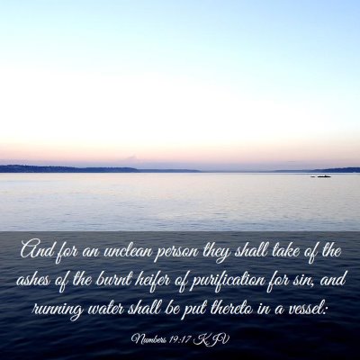 Picture 03 - Numbers 19:17 KJV - And for an unclean person they shall take of the - Bible Verse Picture