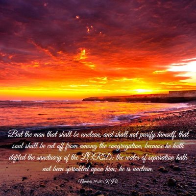 Picture 03 - Numbers 19:20 KJV - But the man that shall be unclean, and shall not - Bible Verse Picture