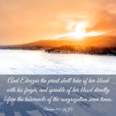 Picture 03 - Numbers 19:4 KJV - And Eleazar the priest shall take of her blood - Bible Verse Picture