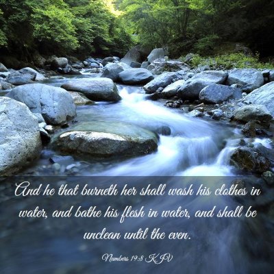 Picture 03 - Numbers 19:8 KJV - And he that burneth her shall wash his clothes in - Bible Verse Picture