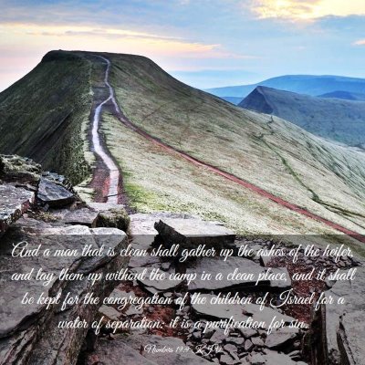Picture 03 - Numbers 19:9 KJV - And a man that is clean shall gather up the ashes - Bible Verse Picture