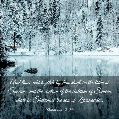 Picture 03 - Numbers 2:12 KJV - And those which pitch by him shall be the tribe - Bible Verse Picture