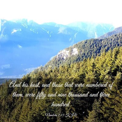 Picture 03 - Numbers 2:13 KJV - And his host, and those that were numbered of - Bible Verse Picture