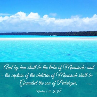 Picture 03 - Numbers 2:20 KJV - And by him shall be the tribe of Manasseh: and - Bible Verse Picture