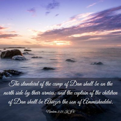 Picture 03 - Numbers 2:25 KJV - The standard of the camp of Dan shall be on the - Bible Verse Picture