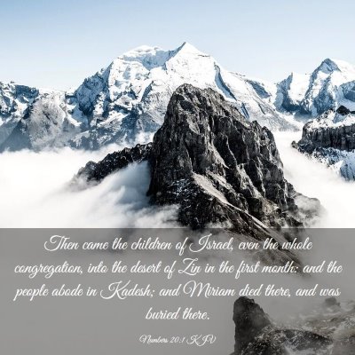 Picture 03 - Numbers 20:1 KJV - Then came the children of Israel, even the whole - Bible Verse Picture