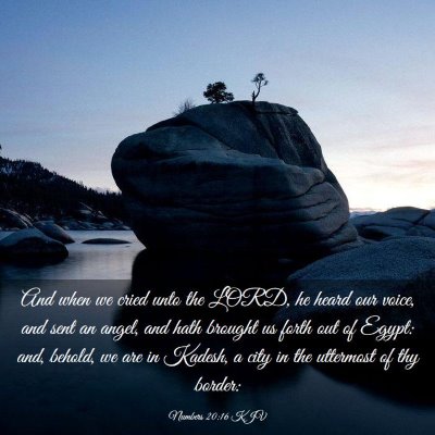 Picture 03 - Numbers 20:16 KJV - And when we cried unto the LORD, he heard our - Bible Verse Picture