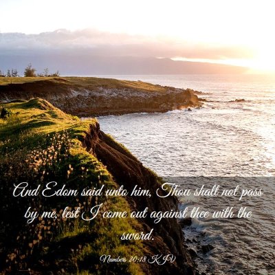 Picture 03 - Numbers 20:18 KJV - And Edom said unto him, Thou shalt not pass by - Bible Verse Picture