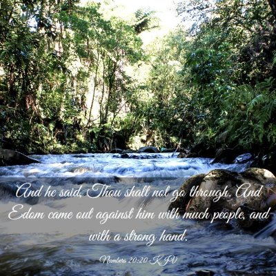 Picture 03 - Numbers 20:20 KJV - And he said, Thou shalt not go through. And Edom - Bible Verse Picture
