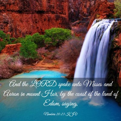 Picture 03 - Numbers 20:23 KJV - And the LORD spake unto Moses and Aaron in mount - Bible Verse Picture
