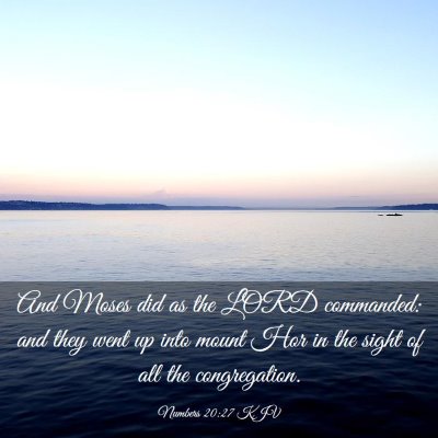 Picture 03 - Numbers 20:27 KJV - And Moses did as the LORD commanded: and they - Bible Verse Picture