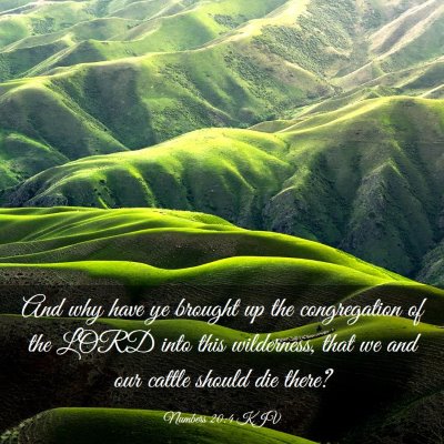 Picture 03 - Numbers 20:4 KJV - And why have ye brought up the congregation of - Bible Verse Picture