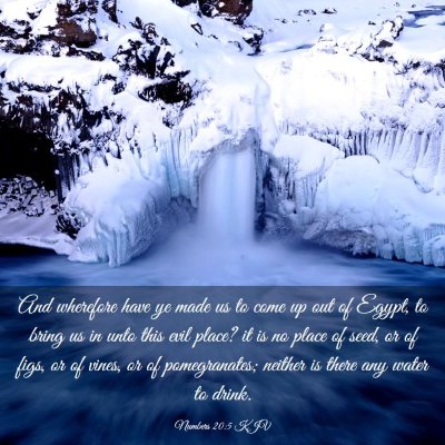 Picture 03 - Numbers 20:5 KJV - And wherefore have ye made us to come up out of - Bible Verse Picture