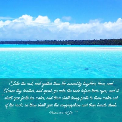 Picture 03 - Numbers 20:8 KJV - Take the rod, and gather thou the assembly - Bible Verse Picture