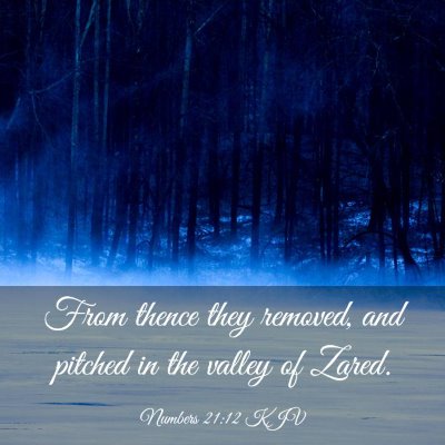 Picture 03 - Numbers 21:12 KJV - From thence they removed, and pitched in the - Bible Verse Picture