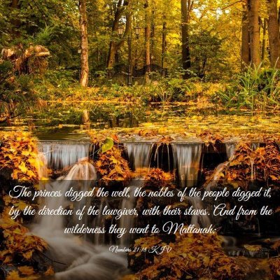 Picture 03 - Numbers 21:18 KJV - The princes digged the well, the nobles of the - Bible Verse Picture