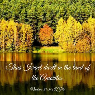 Picture 03 - Numbers 21:31 KJV - Thus Israel dwelt in the land of the - Bible Verse Picture