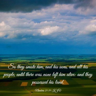Picture 03 - Numbers 21:35 KJV - So they smote him, and his sons, and all his - Bible Verse Picture