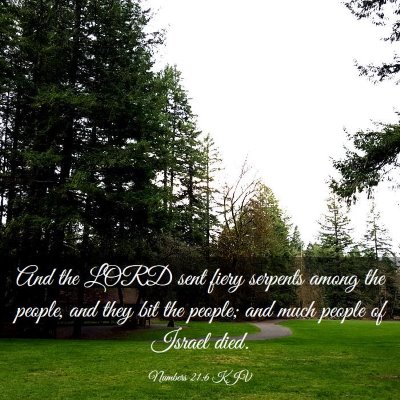 Picture 03 - Numbers 21:6 KJV - And the LORD sent fiery serpents among the - Bible Verse Picture