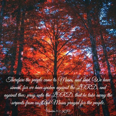 Picture 03 - Numbers 21:7 KJV - Therefore the people came to Moses, and said, We - Bible Verse Picture