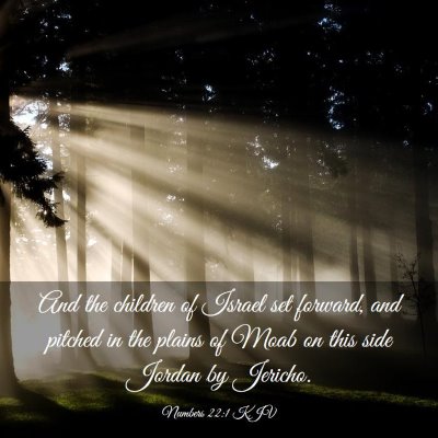 Picture 03 - Numbers 22:1 KJV - And the children of Israel set forward, and - Bible Verse Picture