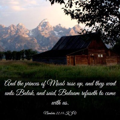 Picture 03 - Numbers 22:14 KJV - And the princes of Moab rose up, and they went - Bible Verse Picture