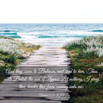 Picture 03 - Numbers 22:16 KJV - And they came to Balaam, and said to him, Thus - Bible Verse Picture