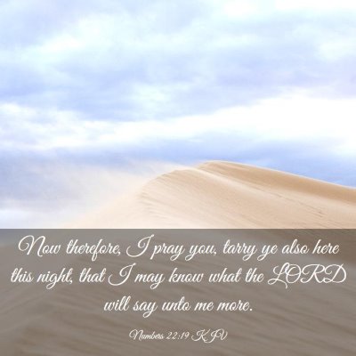 Picture 03 - Numbers 22:19 KJV - Now therefore, I pray you, tarry ye also here - Bible Verse Picture