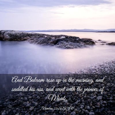 Picture 03 - Numbers 22:21 KJV - And Balaam rose up in the morning, and saddled - Bible Verse Picture