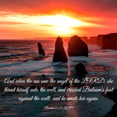 Picture 03 - Numbers 22:25 KJV - And when the ass saw the angel of the LORD, she - Bible Verse Picture